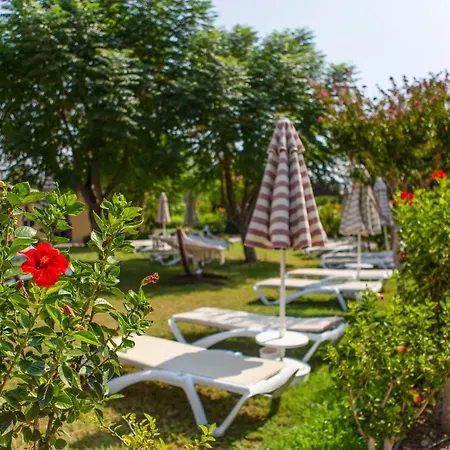 سايد ستار 5*
